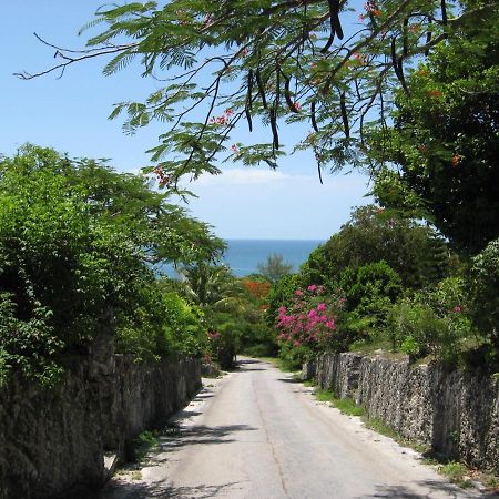 Beside The Pointe Cottage Savannah Sound ภายนอก รูปภาพ